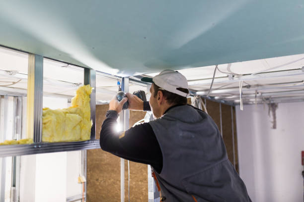 Best Residential Insulation in Unalaska, AK