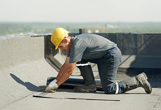 Best Insulation Installation Services in Unalaska, AK